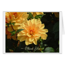 "Old Fashioned Peach Dahlia" cards