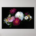 Old fashioned Roses posters