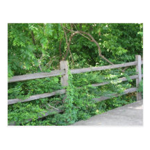 Old Fence Post Card