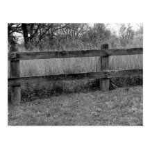 Old Fence Postcard