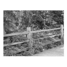 Old Fence Postcard