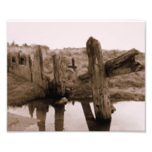Old Fences 8x10 Photo