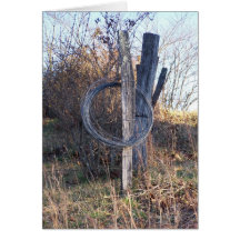 Old Fences Cards