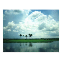 Old Florida Custom Postcards