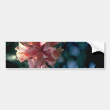Old Flower Bumper Stickers