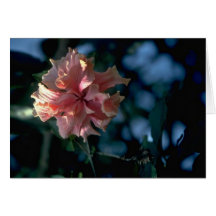 Old Flower Greeting Card