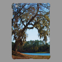 Old Friend iPad Mini case ipad mini cases