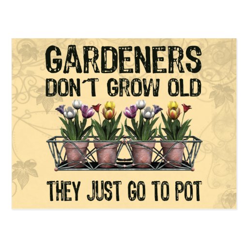 Old Gardeners Postcard
