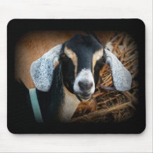 Old Goat Nubian Portrait Photo Mouse Pads