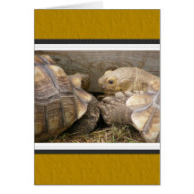 Old Gossips Card