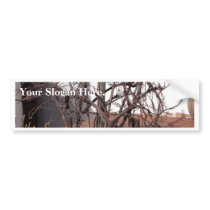 Old Grape Vines Bumper Stickers