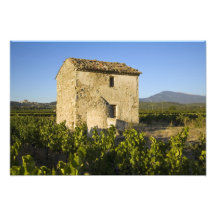 Old house in the Comtat Venaissin, Vaucluse, Photo Print