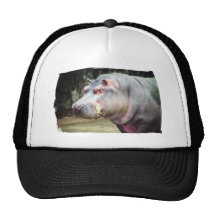 Old Jewel Trucker Hat