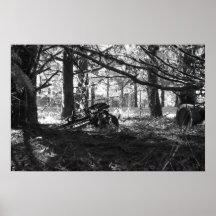 old memories print