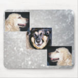 Old Pals Mouse Pads