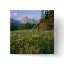 Old Park Service cabin in the Cut Bank Valley Pinback Button