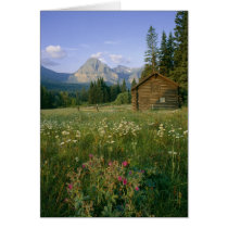 Old Park Service cabin in the Cut Bank Valley Greeting Cards