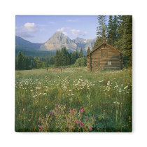 Old Park Service cabin in the Cut Bank Valley Fridge Magnet