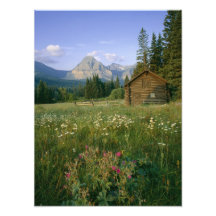 Old Park Service cabin in the Cut Bank Valley Photograph