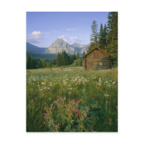 Old Park Service cabin in the Cut Bank Valley Post Cards