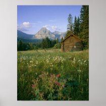 Old Park Service cabin in the Cut Bank Valley