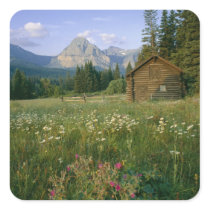 Old Park Service cabin in the Cut Bank Valley Square Sticker