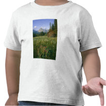 Old Park Service cabin in the Cut Bank Valley T Shirt