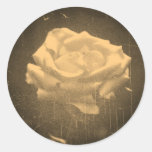 Old Photo Beautiful Pink Rose Close-up Round Sticker
