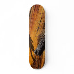 Old Pine In Yosemite Skateboard Decks