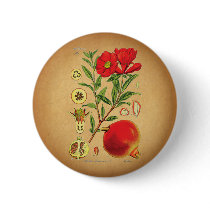 Old Pomegranate Illustration Button