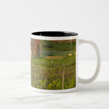 Old red barn at the edge of Zinfandel vineyard Mugs