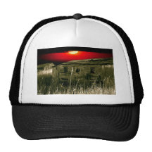 Old Rickety Halloween Home Hats