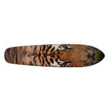 Old School Tiger Skateboard