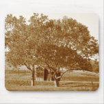 Old Shed Summer Mousepad