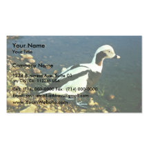 Old Squaw Business Card
