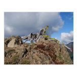 old tree on a mountain postcard