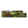 Old Truck in Louisiana Field, Fine Art Bumper Stickers