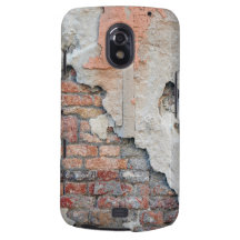 Old Wall in Venice, Italy Samsung Galaxy Nexus Case