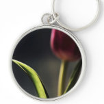 Old World Light, Tulip Stem, artography, Key Chain