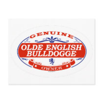 Olde English Bulldogge