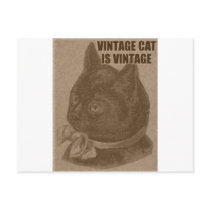 Olde LOLcat