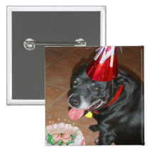 Oldie But Goodie Birthday Dog Pin