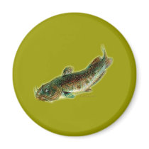 Oldschool style saltwater design