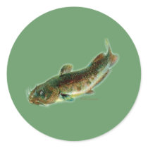 Oldschool style saltwater design