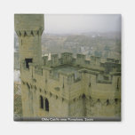 Olite Castle near Pamplona, Spain Magnets