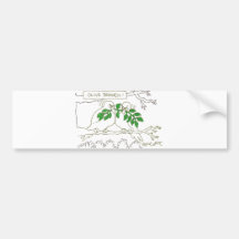 Olive branch! bumper sticker