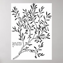 Olive Branch Simplified in Decor Poster