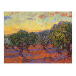 Olive Grove, Orange Sky by van Gogh, Vintage Art Post Cards
