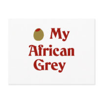 Olive (I Love) My African Grey