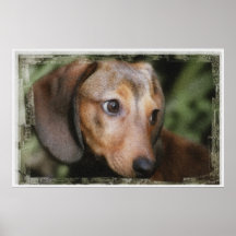 Olive in the Yard Poster